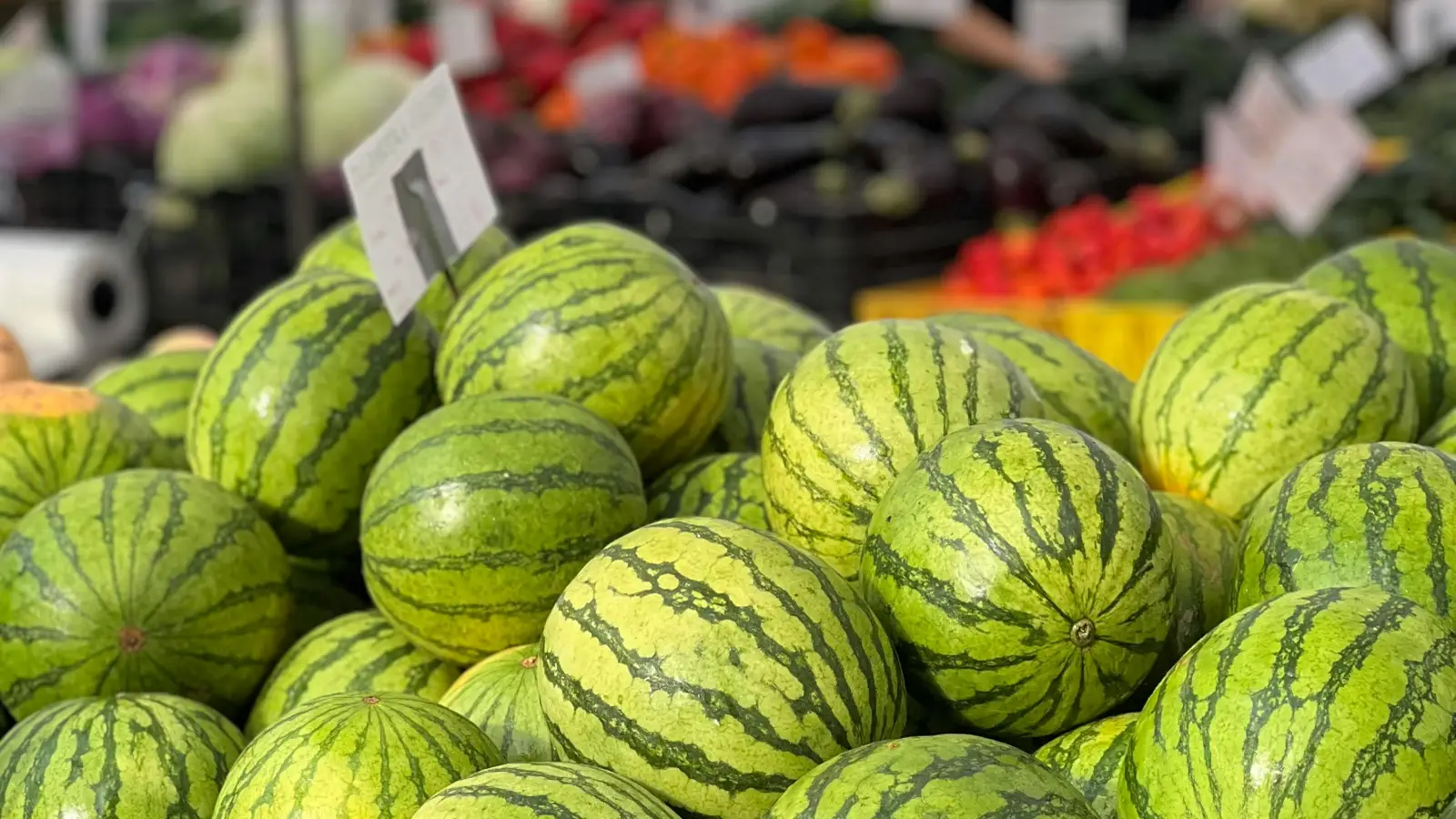 בוחרים אבטיח מושלם: 5 טיפים מנצחים