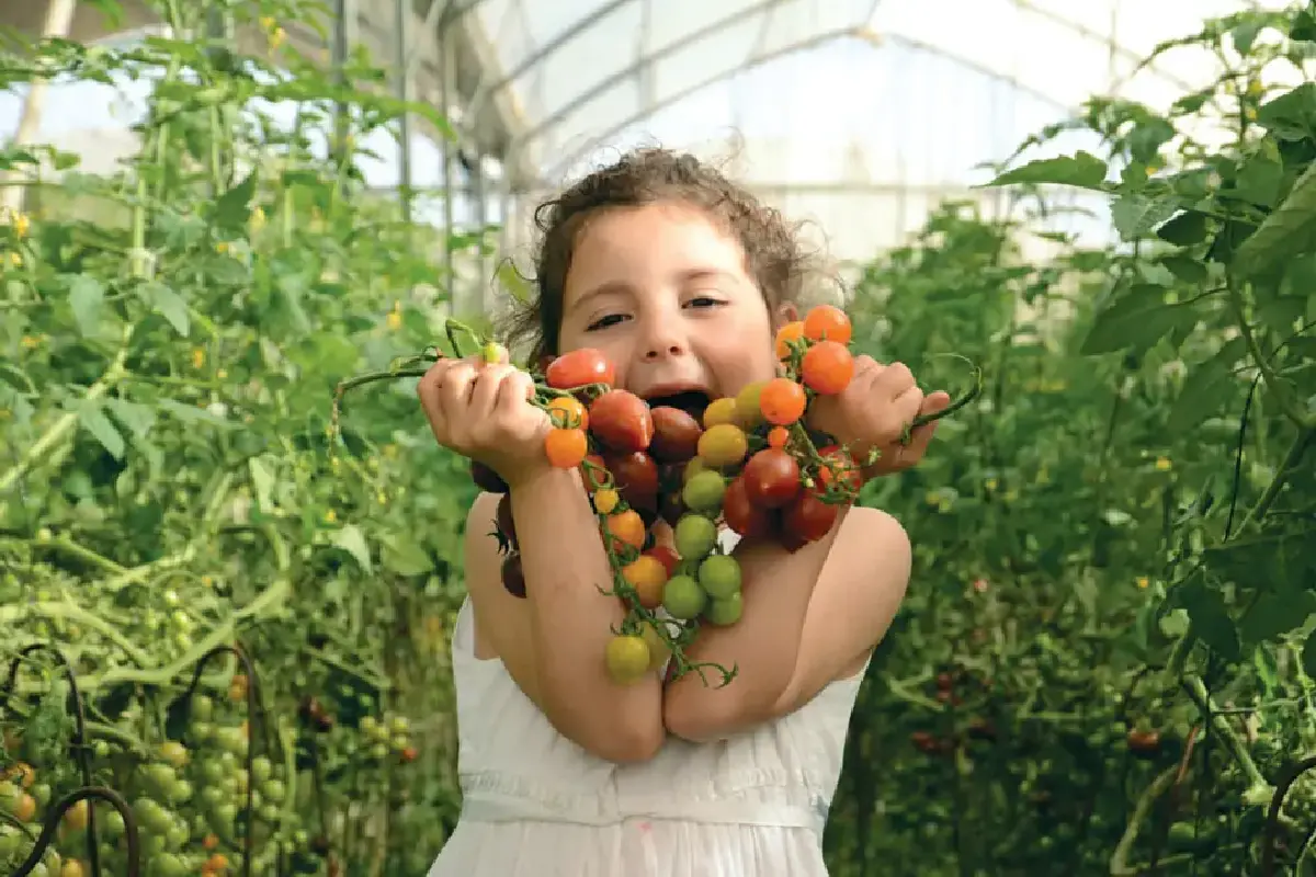 סדנאות, סיורים וטעימות: אירועי אוכל בחול המועד פסח 2024